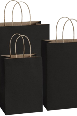Black-Twisted-Handle-Paper-Bags Black-Twisted-Handle-Paper-Bags